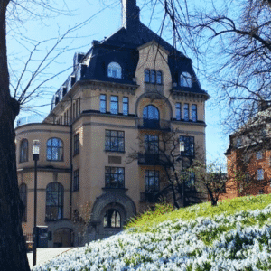 Enskilda Gymnasiet 8B